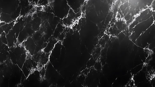 Midnight marble veins tracing quiet constellations.