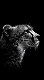 Monochrome profile study of a cheetah against black field.