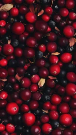 Crimson and black berries in moody overhead macro composition.