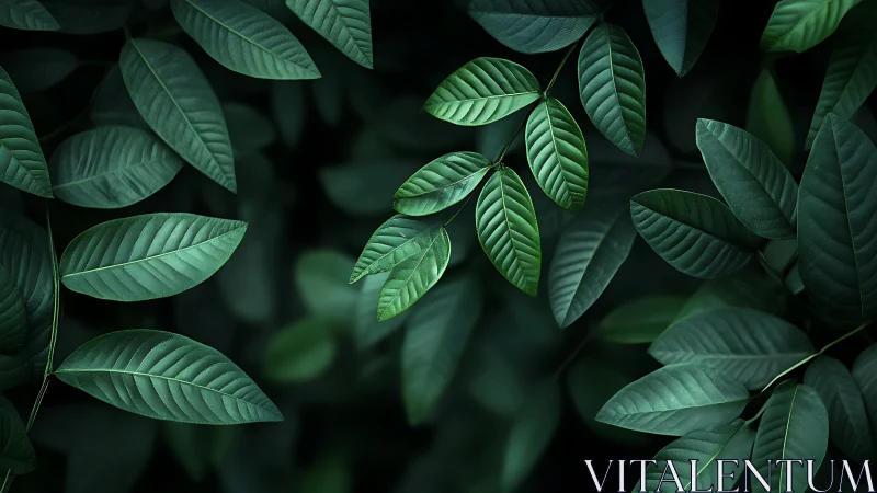 Midnight leaf chorus in deep emerald whispers.