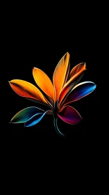 Multicolor abstract flower on black with luminous gradient petals.