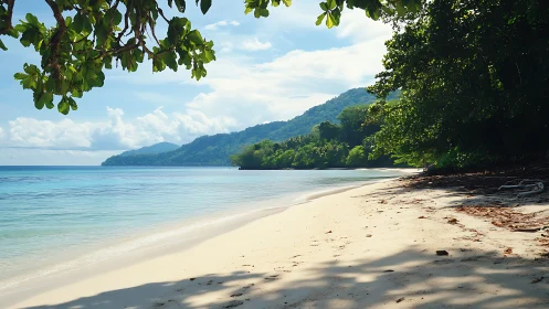 Tropical coastal landscape with pristine sandy beach and forested mountain peninsula.