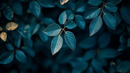 Close-up view of blue-toned foliage with selective focus.