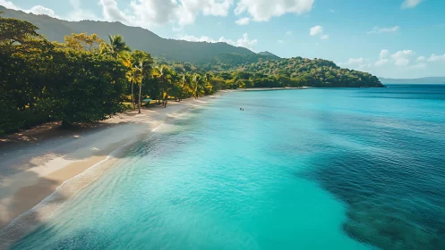 Turquoise Paradise: Pristine Island Shore Beckons With Emerald Palms.