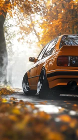 Classic orange coupe cruising through a dreamy autumn lane.