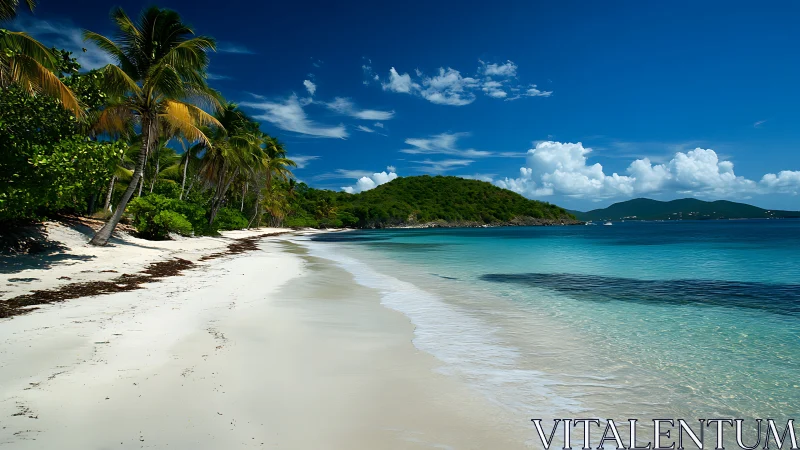 Paradise Found: A Tropical Beach Escape Awaits.