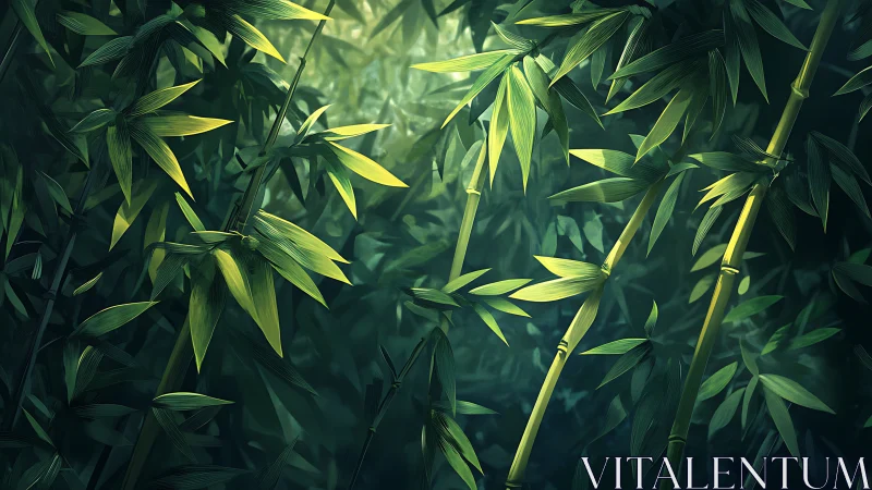 Dense green bamboo stalks and leaves fill the shaded frame