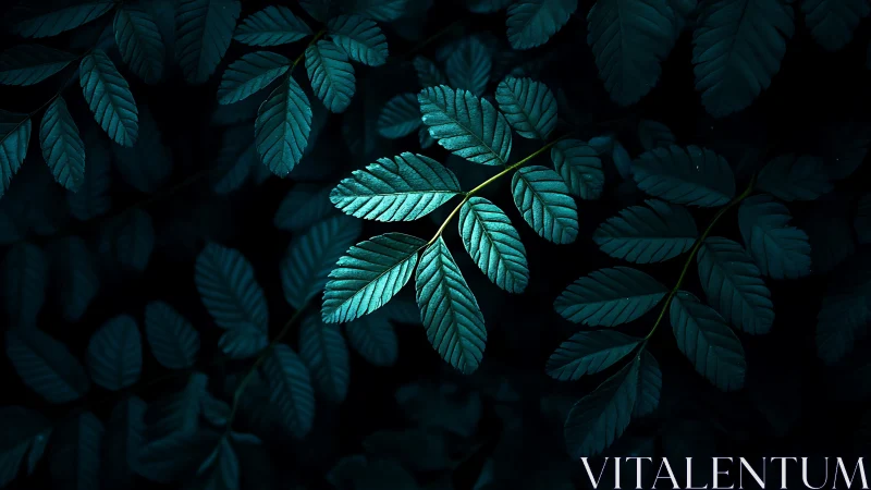 Midnight teal foliage under focused directional lighting.
