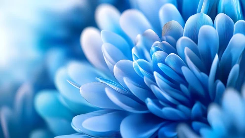 Macro blue chrysanthemum rendered with soft photoreal depth