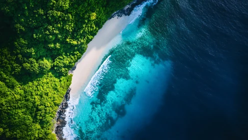 Tropical Paradise: Where Emerald Forest Meets Turquoise Waves.