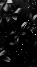 Monochromatic lily petals with rim lighting and depth of field isolation.