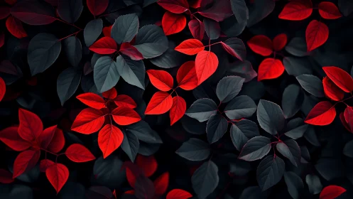 Nocturne leaves glow in crimson whispers against shadowed hush.