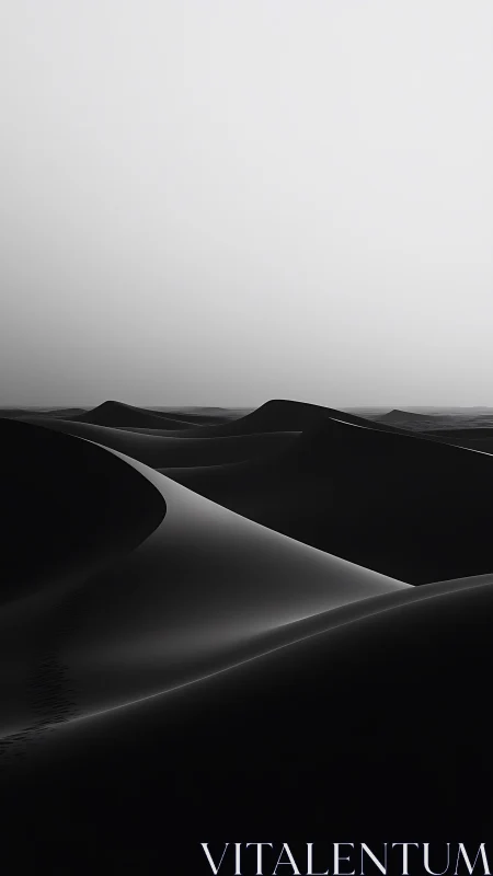 Monochrome sand dunes form smooth curves under flat sky