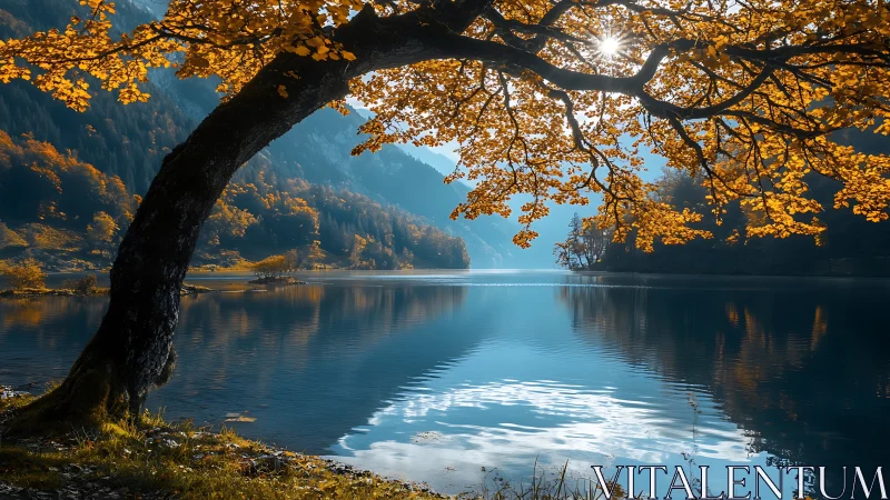 Autumn lakeside panorama with backlit tree and sunstar reflections