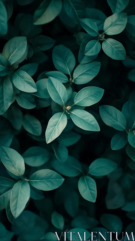Top-down macro study of teal foliage with shallow depth of field