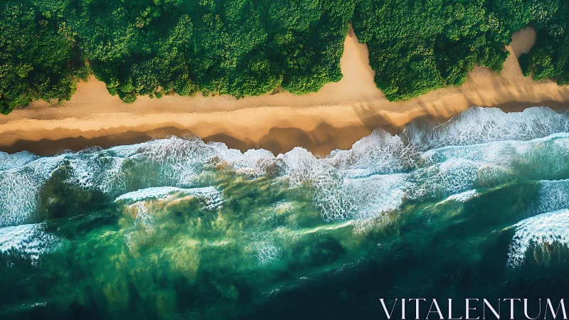 Tropical shoreline from above with waves and golden sand.