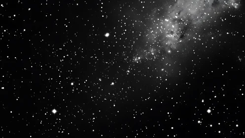 Monochrome star field with dense galactic dust region.