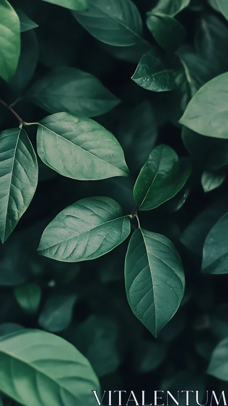 Moody green foliage study with shallow-depth botanical focus.