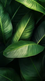 Leaflight quietly choreographs a jungle of layered greens