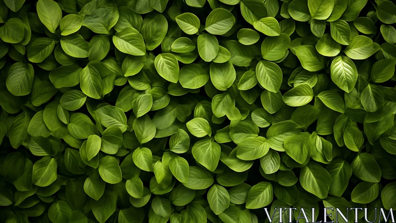 Leafy whispers weave a lush emerald wall of gentle light