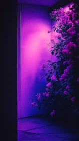 Floral corridor under saturated magenta-blue artificial illumination