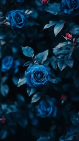 Deep Blue Garden: Roses in Nocturnal Bloom.