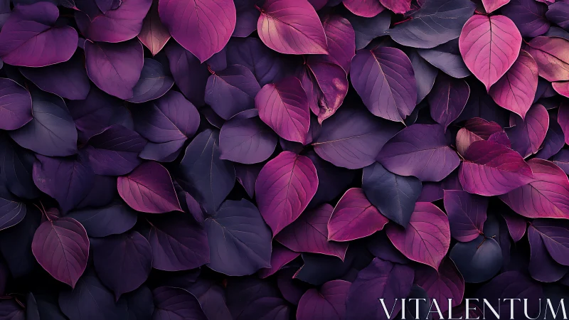 Purple foliage surface shows layered gradient leaf textures.