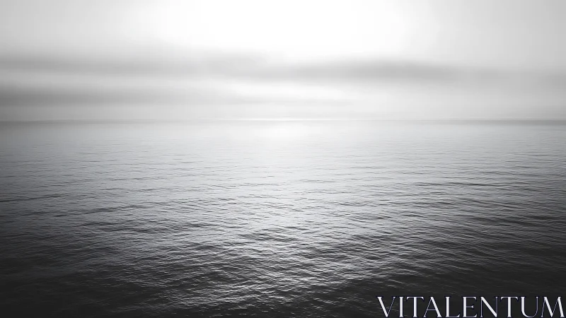 Monochrome seascape with calm horizon and diffused backlighting