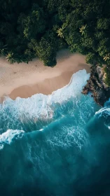 Tropical shoreline with turquoise surf and dense jungle