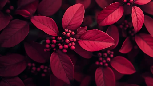Crimson leaves and berries basking in moody evening light.