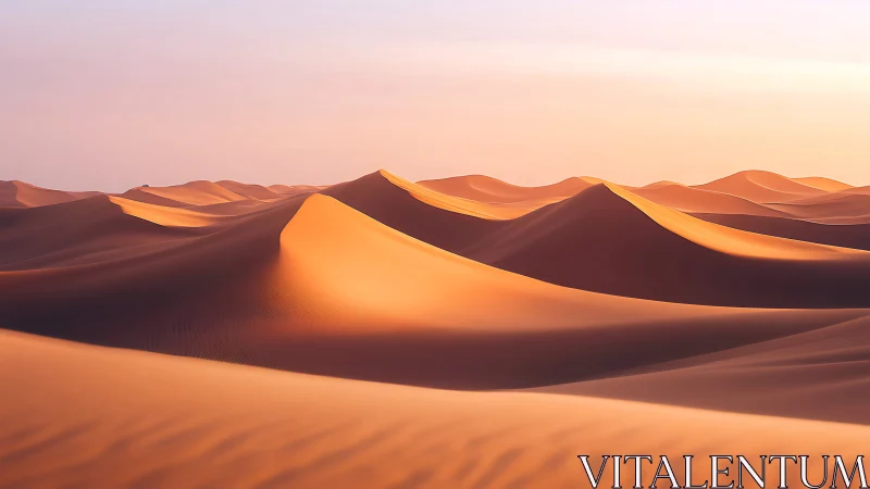 Sunlit dune crests form rhythmic gradients under soft desert haze