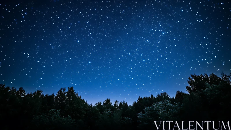Night sky over forest canopy reveals dense stellar field