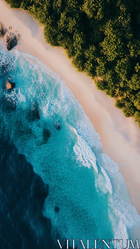 Aerial Coastal Convergence: Turquoise Waters Meet Pristine Shoreline.