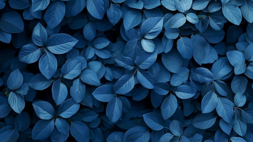 Blue-toned dense foliage fills the entire image frame