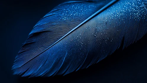 Macro study of blue feather microdroplets under low key light.