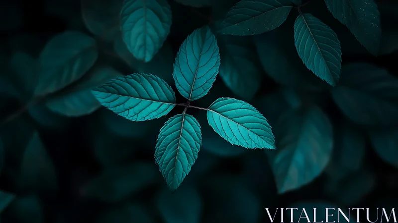 Central teal leaf cluster stands out against dark foliage