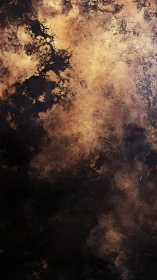 Burnished sepia corrosion over deep textured shadow field.