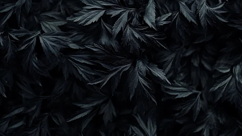 Dark foliage pattern creates moody botanical background