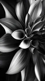 Monochromatic Floral Form with Radiating Petals