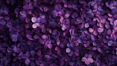 Dense surface of overlapping purple hydrangea petals.