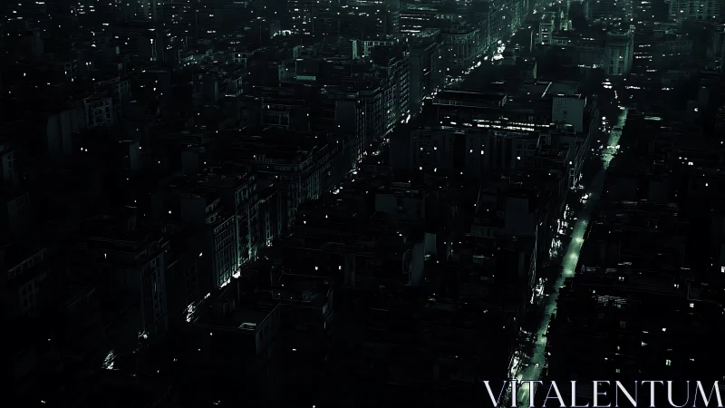 Dense nocturnal cityscape with linear street illumination.