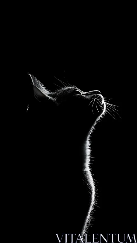 Luminous Cat Profile Against Darkness.