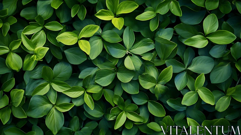 Leafy emerald chorus woven into a lush green tapestry.