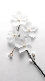 Delicate White Blossom Branch with Soft Focal Depth.
