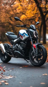 Sleek BMW motorcycle inviting autumn rides under golden trees.