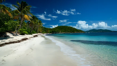 Paradise Found: A Tropical Beach Escape Awaits.