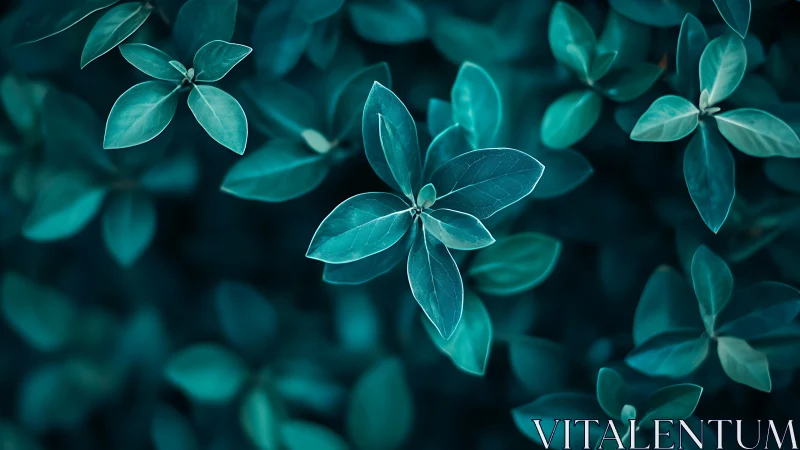 Teal-toned foliage cluster under soft diffused lighting.