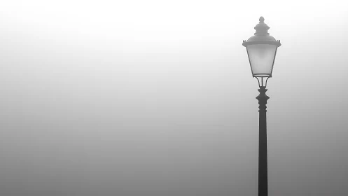 Solitary street lamp emerges softly through dense fog.