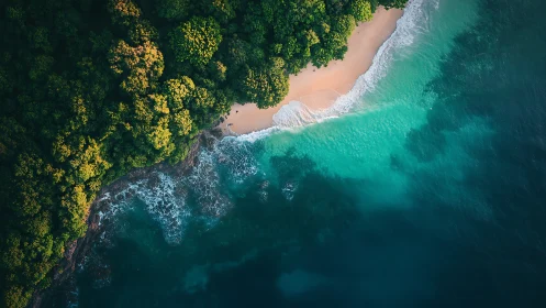 Tropical Coastal Paradise: Aerial Beach View