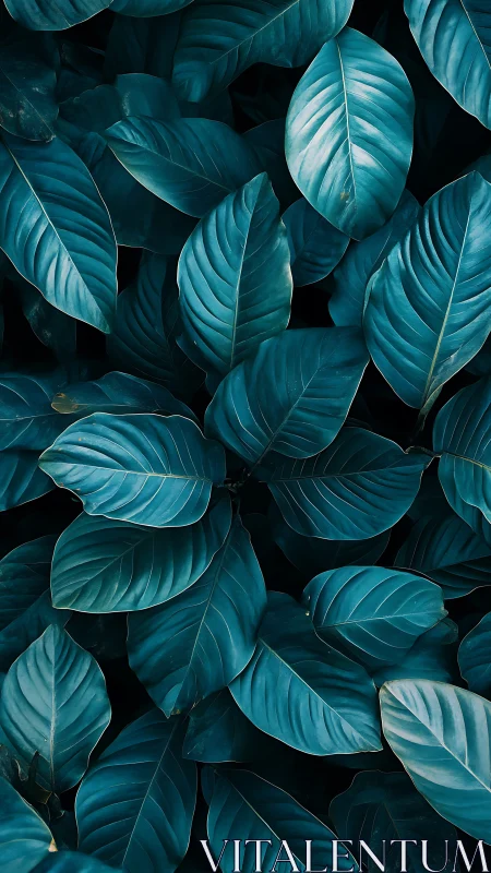 Teal foliage canopy captures dense overlapping leaf morphology